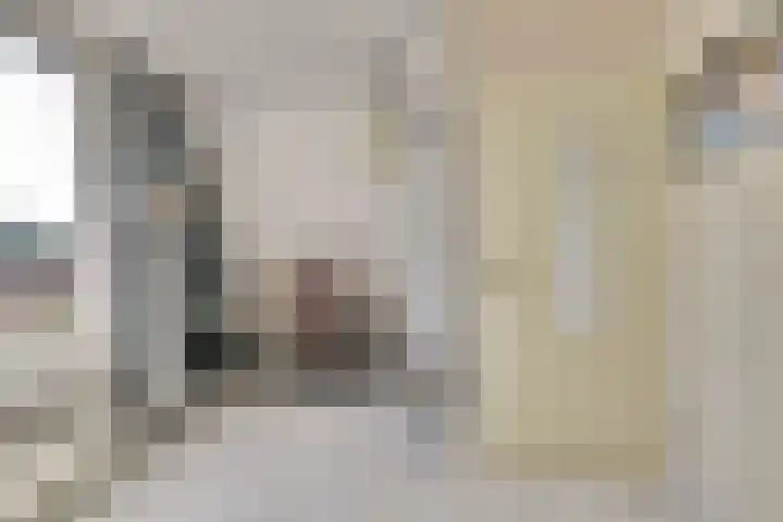 Sternweide 6 Houten thumbnail 28