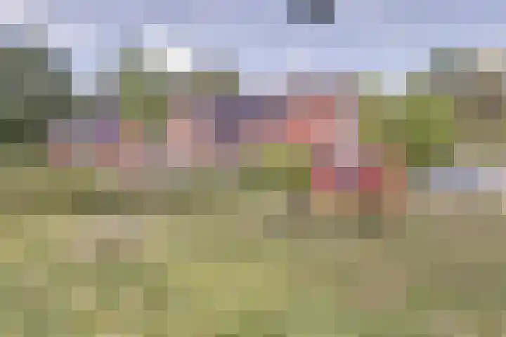 Sternweide 6 Houten thumbnail 37
