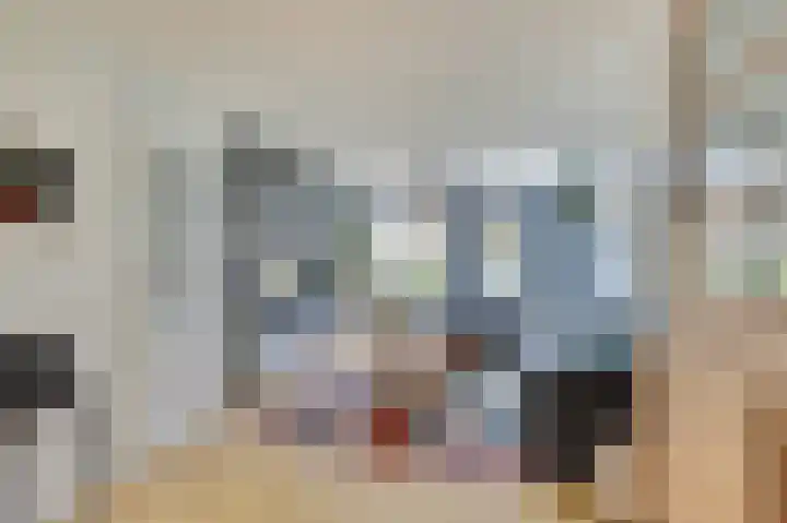 Sternweide 6 Houten thumbnail 4