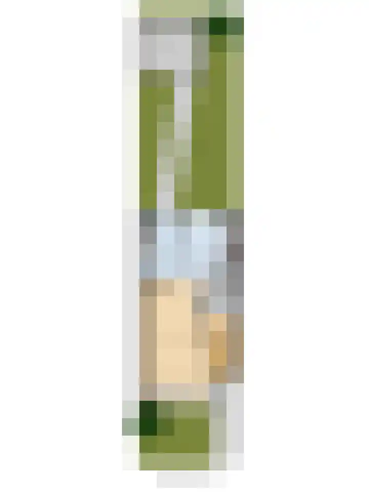 Sternweide 6 Houten thumbnail 42