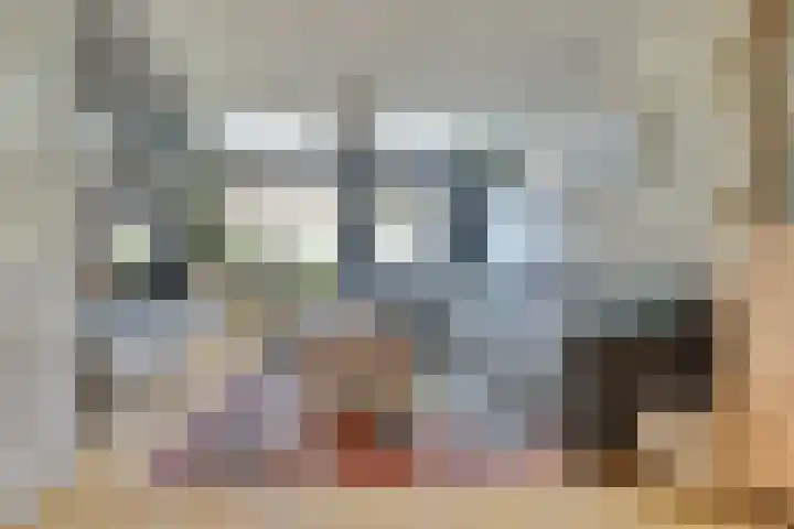 Sternweide 6 Houten thumbnail 5