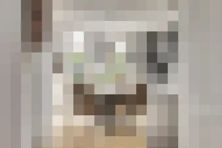 Sternweide 6 Houten thumbnail 7