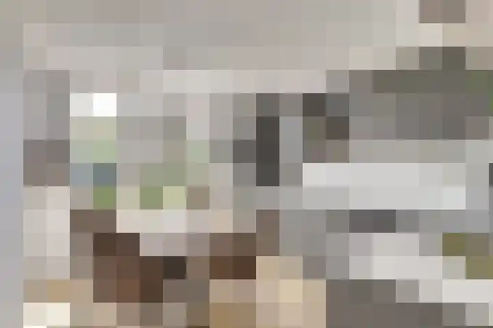 Sternweide 6 Houten thumbnail 8