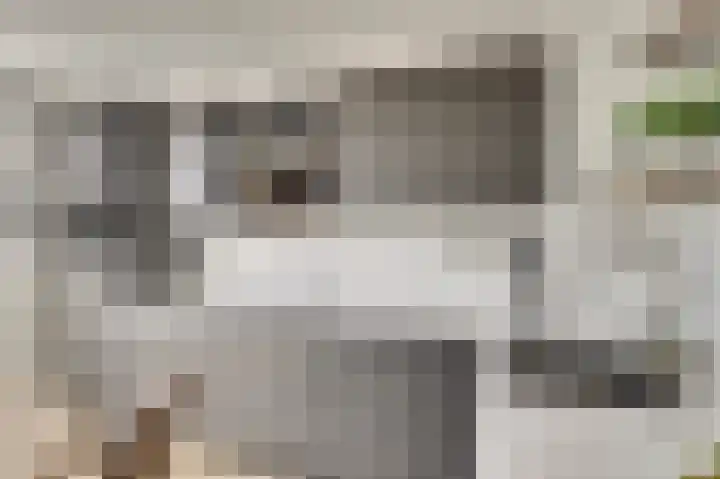 Sternweide 6 Houten thumbnail 9