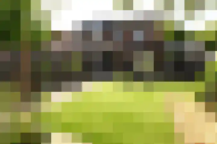 Sterplein 34 Heel thumbnail 10