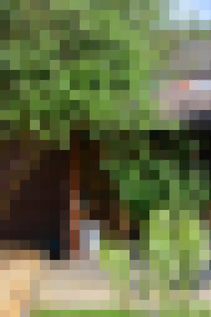 Sterplein 34 Heel thumbnail 12