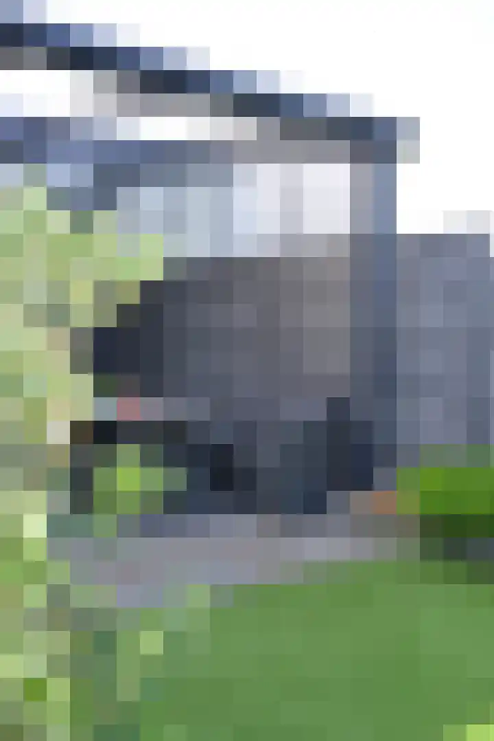 Sterplein 34 Heel thumbnail 13