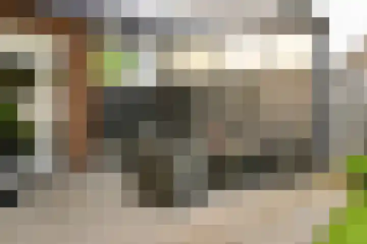 Sterplein 34 Heel thumbnail 14