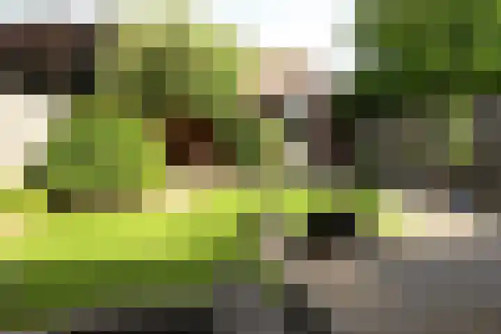 Sterplein 34 Heel thumbnail 15