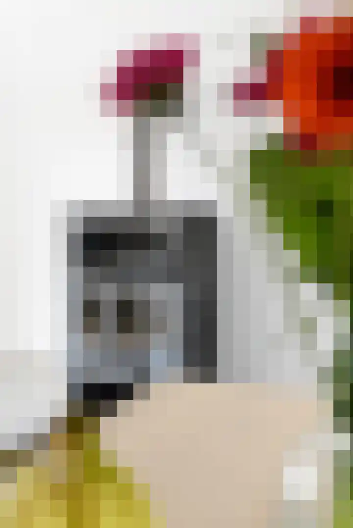 Sterplein 34 Heel thumbnail 18