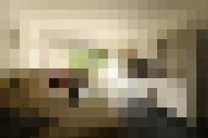 Sterplein 34 Heel thumbnail 20