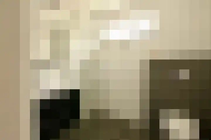Sterplein 34 Heel thumbnail 24