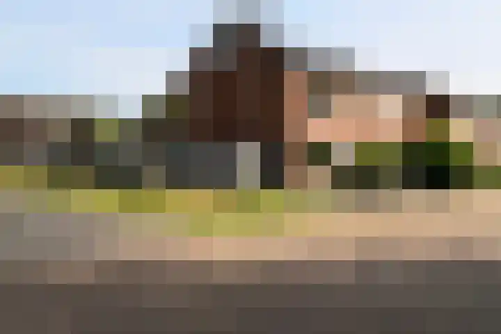 Sterplein 34 Heel thumbnail 28