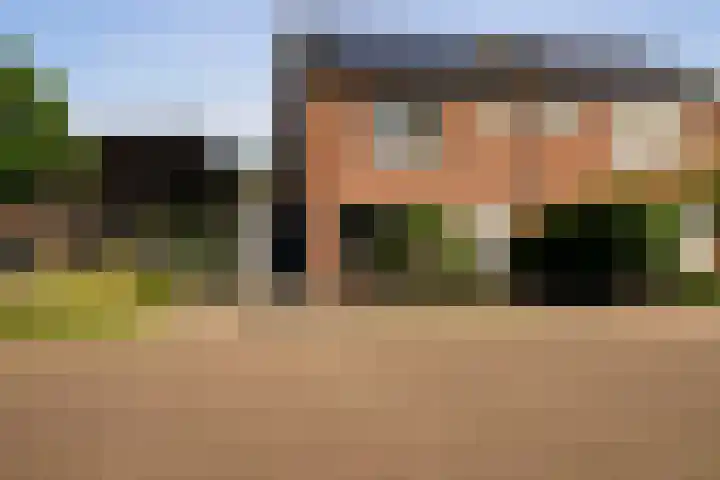 Sterplein 34 Heel thumbnail 33