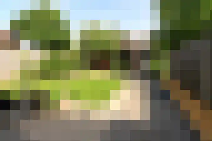 Sterplein 34 Heel thumbnail 8
