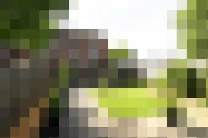 Sterplein 34 Heel thumbnail 9