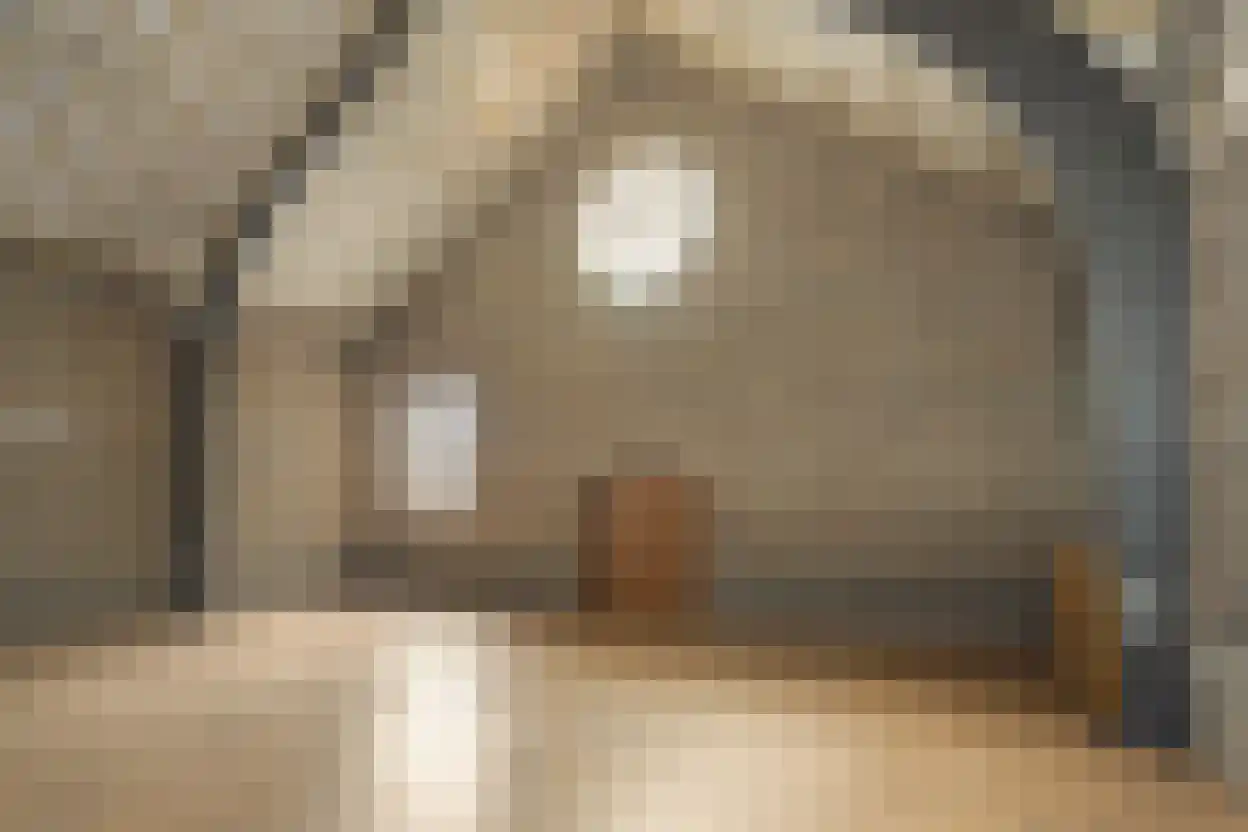 Sterre der Zeeplein 12 Papenhoven thumbnail 15