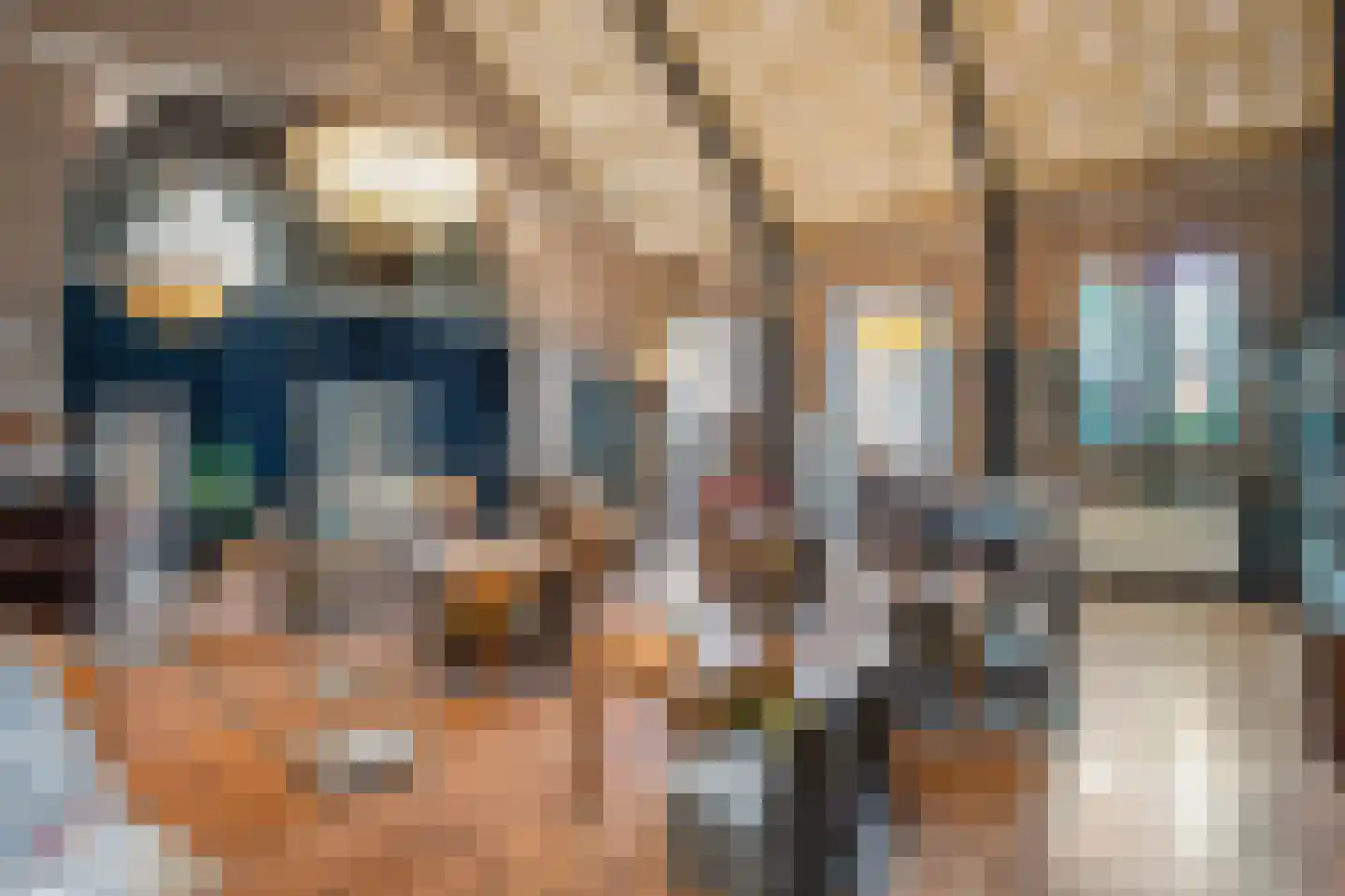 Sterre der Zeeplein 12 Papenhoven thumbnail 16