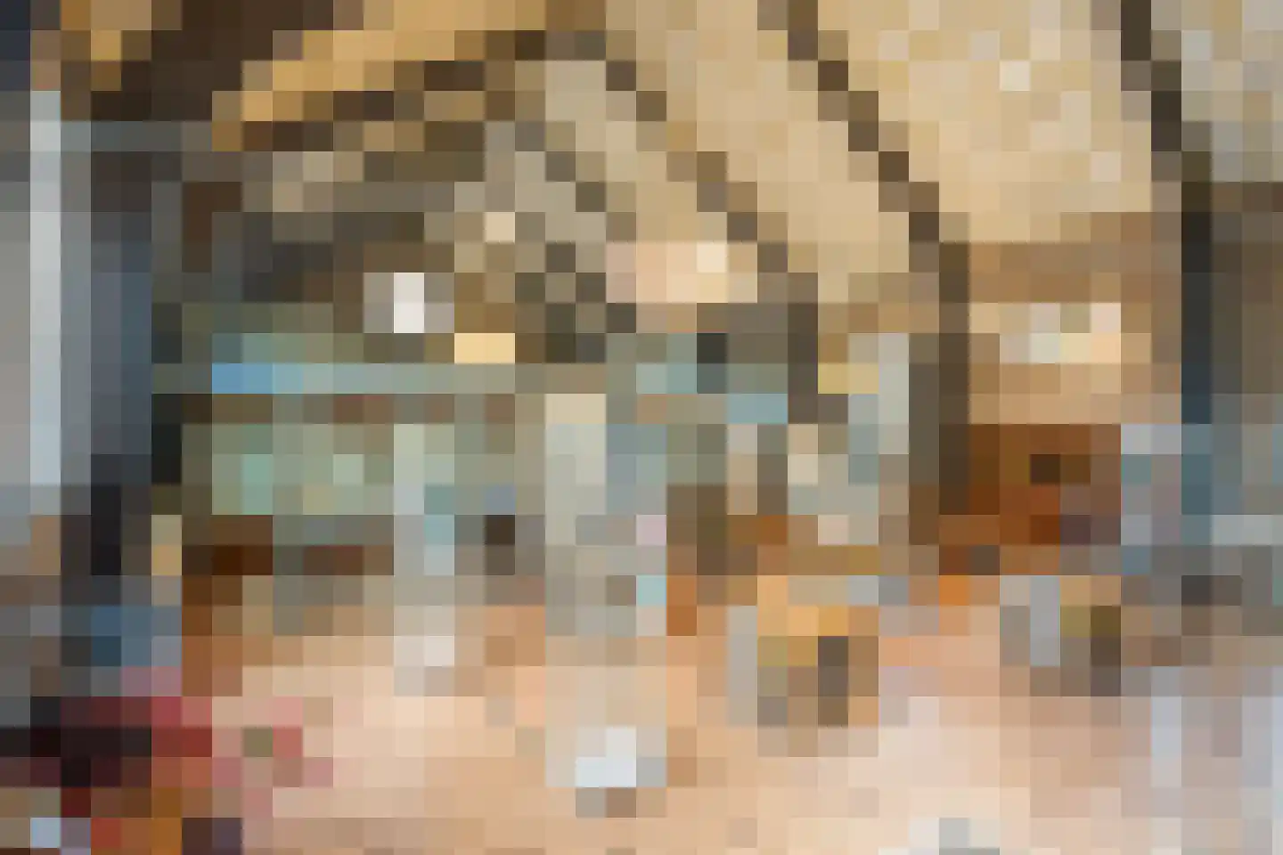Sterre der Zeeplein 12 Papenhoven thumbnail 19