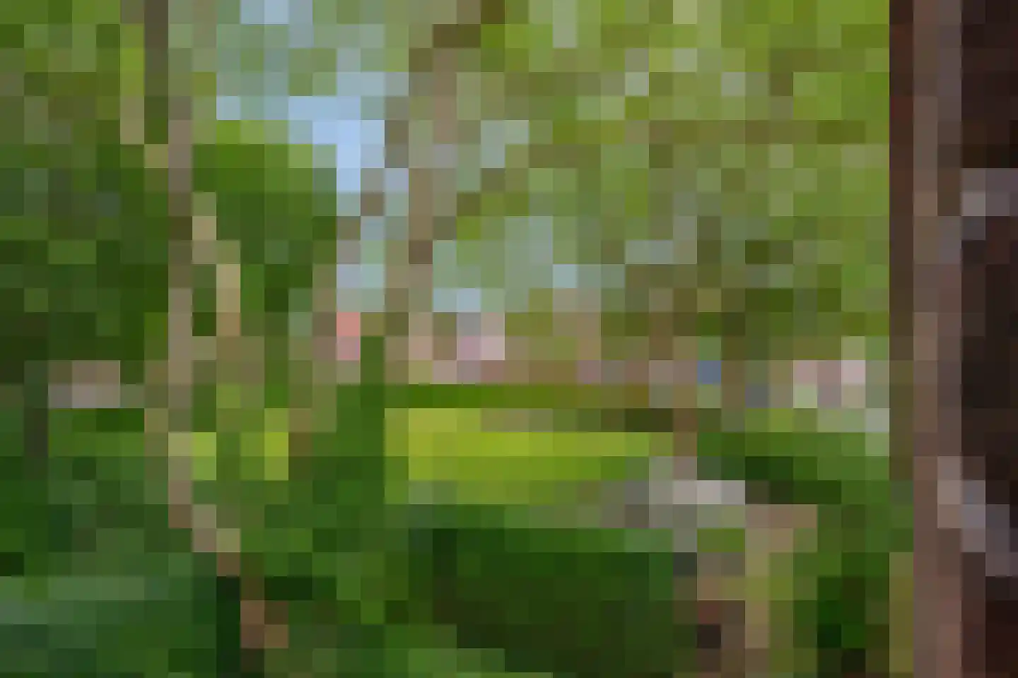 Sterre der Zeeplein 12 Papenhoven thumbnail 27
