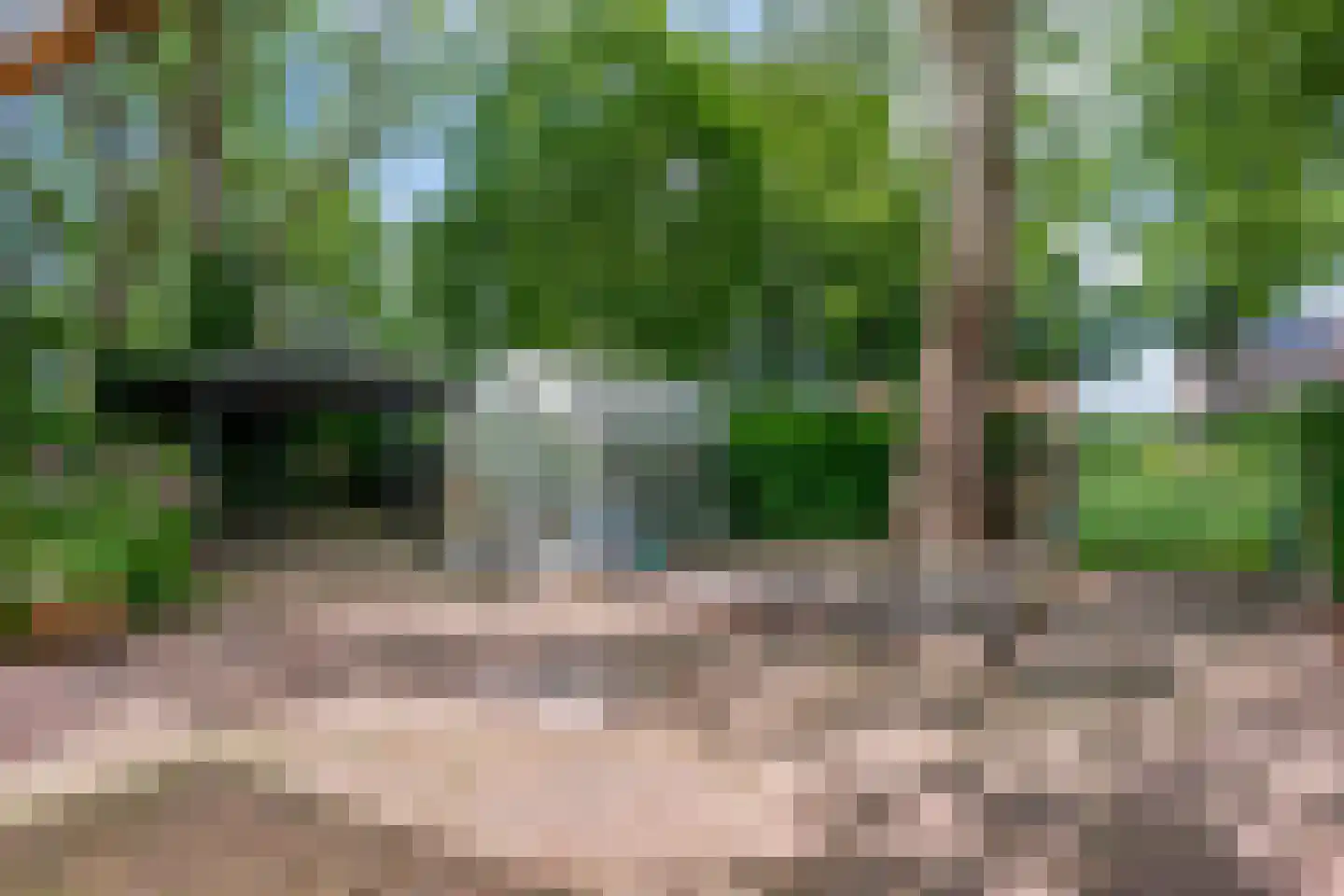 Sterre der Zeeplein 12 Papenhoven thumbnail 28