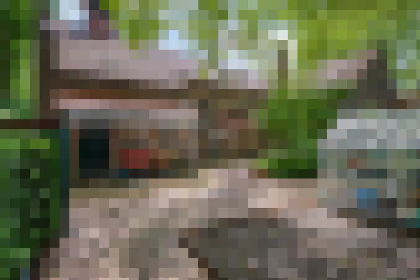 Sterre der Zeeplein 12 Papenhoven thumbnail 29