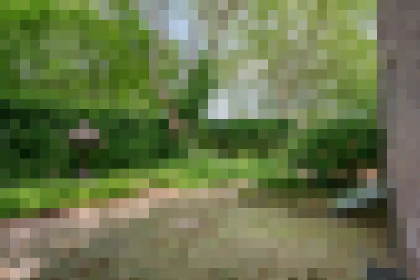 Sterre der Zeeplein 12 Papenhoven thumbnail 30