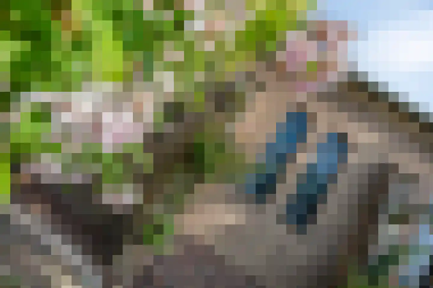 Sterre der Zeeplein 12 Papenhoven thumbnail 32