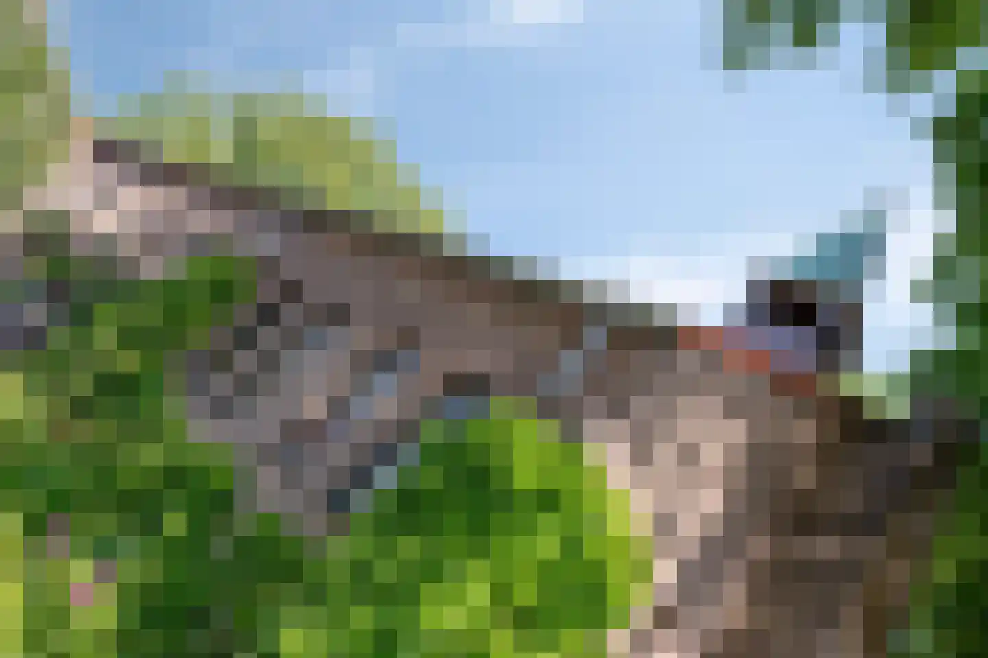 Sterre der Zeeplein 12 Papenhoven thumbnail 33