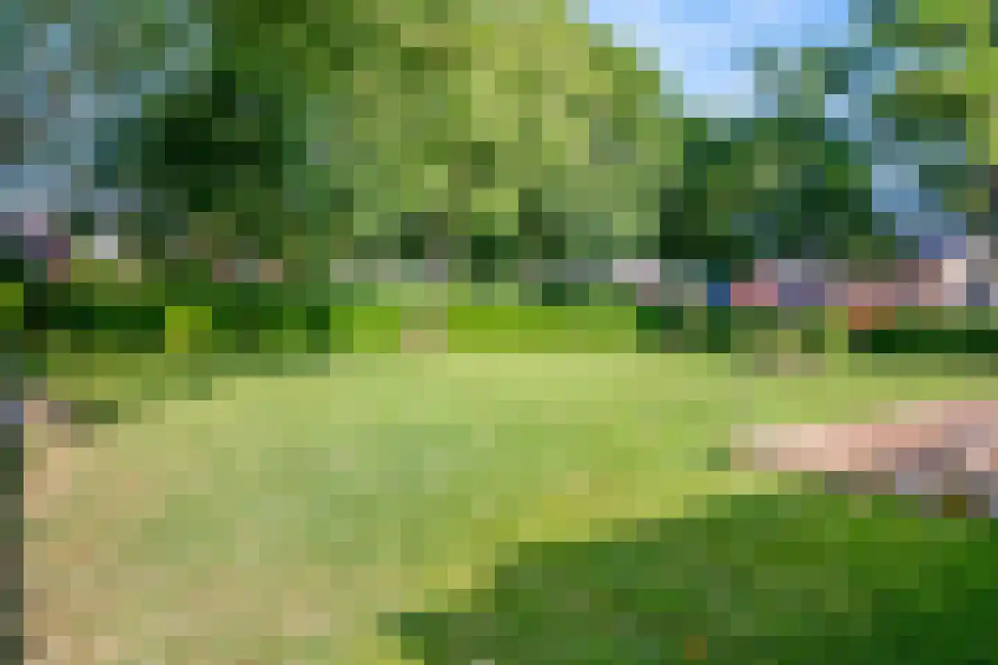 Sterre der Zeeplein 12 Papenhoven thumbnail 34