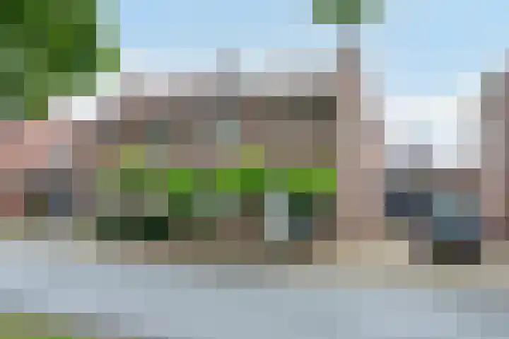 Sterre der Zeeplein 4 Papenhoven