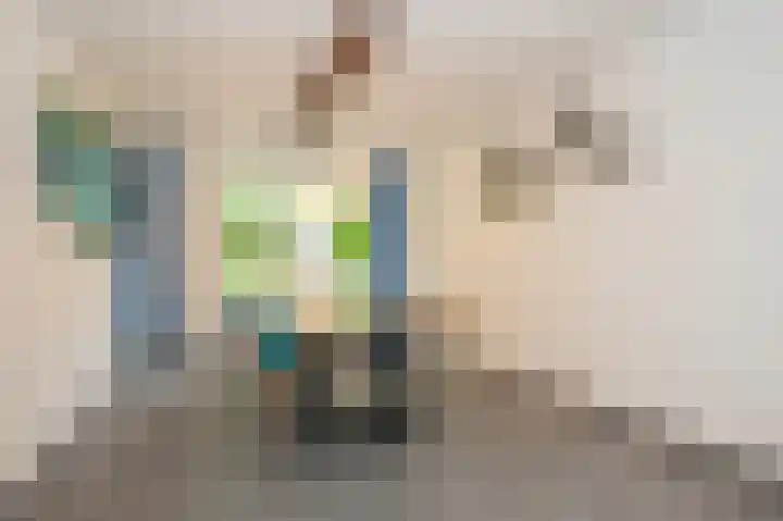 Sterre der Zeeplein 4 Papenhoven thumbnail 10