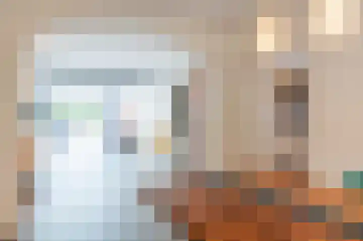 Sterre der Zeeplein 4 Papenhoven thumbnail 12