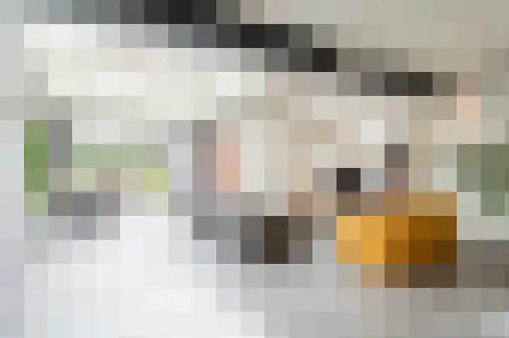 Sterre der Zeeplein 4 Papenhoven thumbnail 14