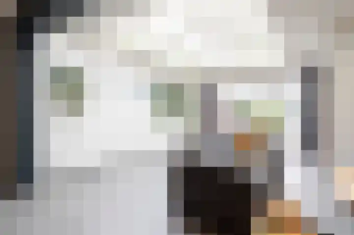 Sterre der Zeeplein 4 Papenhoven thumbnail 16