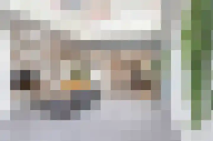 Sterre der Zeeplein 4 Papenhoven thumbnail 17