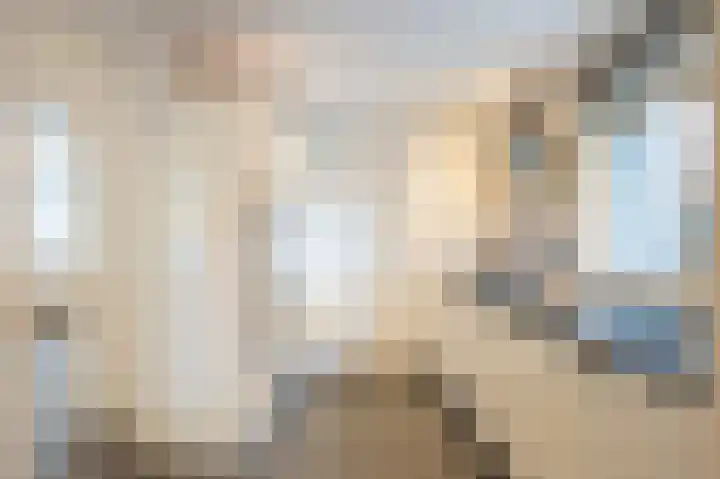 Sterre der Zeeplein 4 Papenhoven thumbnail 20