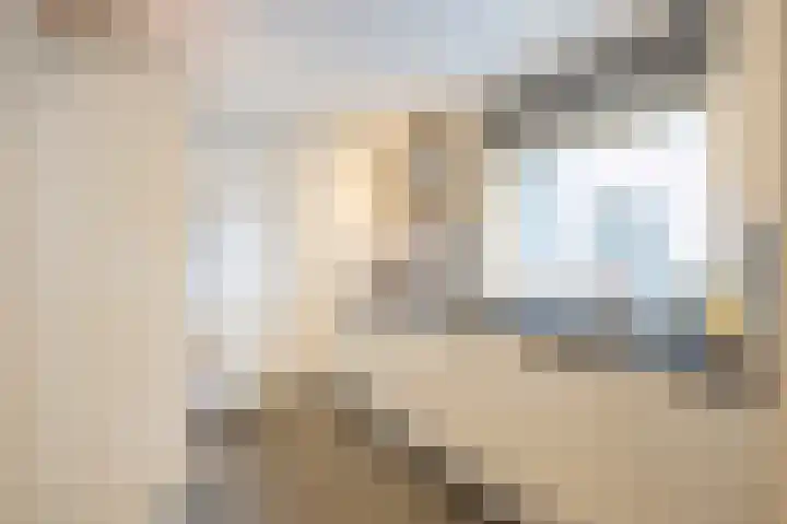 Sterre der Zeeplein 4 Papenhoven thumbnail 21