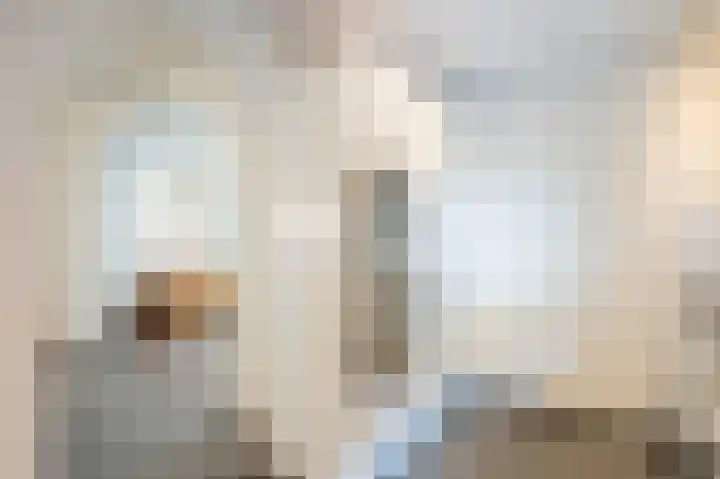 Sterre der Zeeplein 4 Papenhoven thumbnail 22