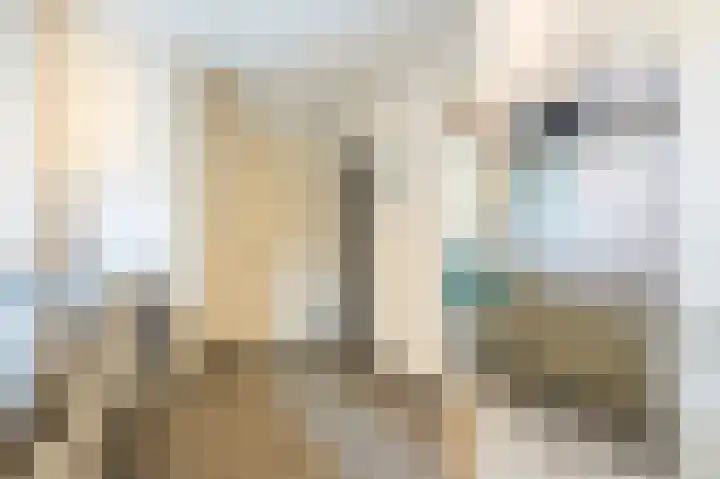 Sterre der Zeeplein 4 Papenhoven thumbnail 23