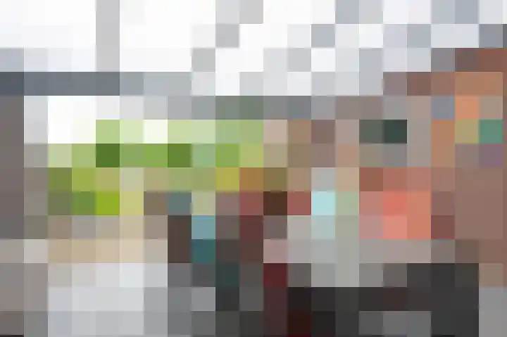 Sterre der Zeeplein 4 Papenhoven thumbnail 25