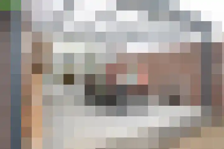 Sterre der Zeeplein 4 Papenhoven thumbnail 26