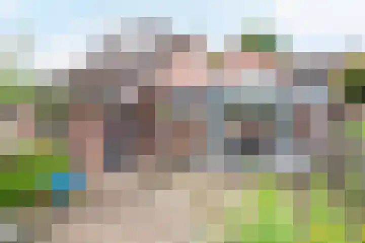 Sterre der Zeeplein 4 Papenhoven thumbnail 27