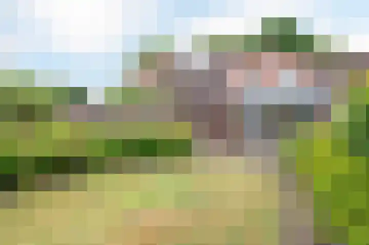 Sterre der Zeeplein 4 Papenhoven thumbnail 29