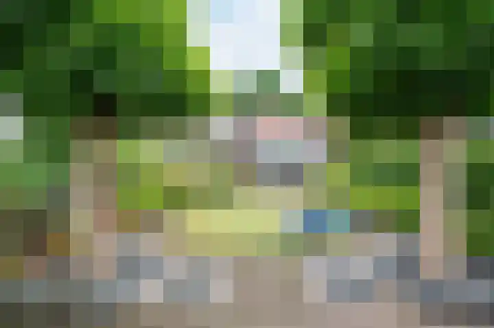 Sterre der Zeeplein 4 Papenhoven thumbnail 30