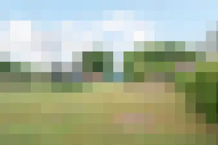 Sterre der Zeeplein 4 Papenhoven thumbnail 31
