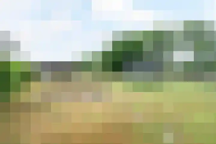 Sterre der Zeeplein 4 Papenhoven thumbnail 32