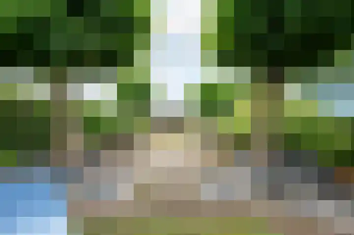 Sterre der Zeeplein 4 Papenhoven thumbnail 33
