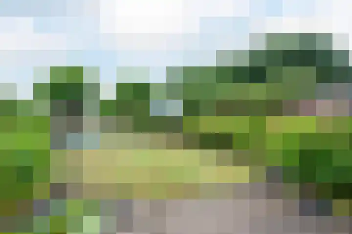 Sterre der Zeeplein 4 Papenhoven thumbnail 35