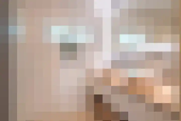 Sterre der Zeeplein 4 Papenhoven thumbnail 37
